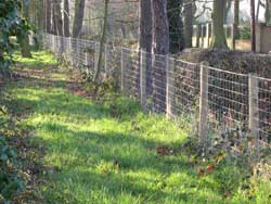 INVISIBLE FENCE - ELECTRIC DOG FENCE - DOG CONTAINMENT