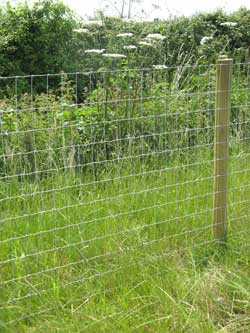 ANIMAL MANAGEMENT SYSTEMS AND SECURITY ELECTRIC FENCING