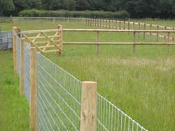BUY ELECTRIC FENCING AND ELECTRIC FENCE PRODUCTS | AGRI
